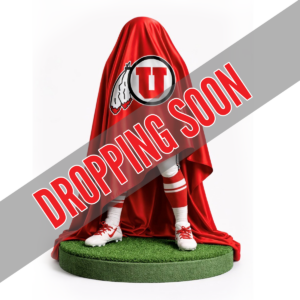 Dropping Soon – Tommy Nelson Custom Bobblehead